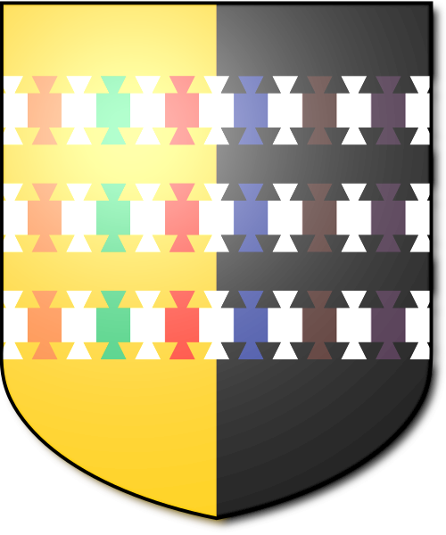 Shield image