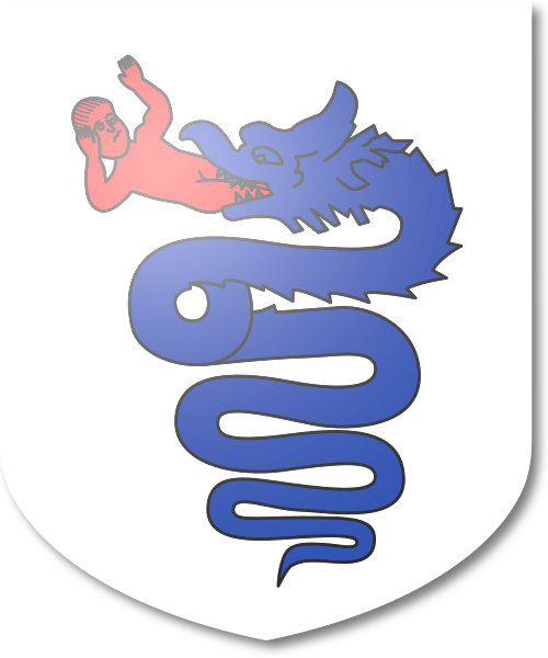 Shield image