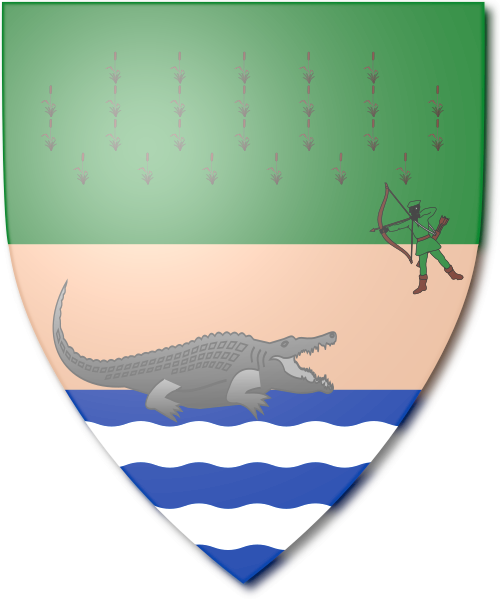 Shield image