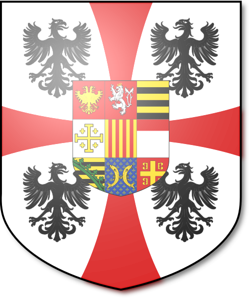 Shield image