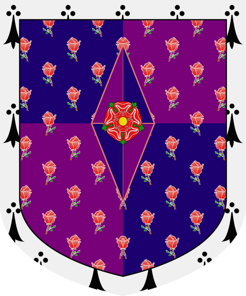 Shield image