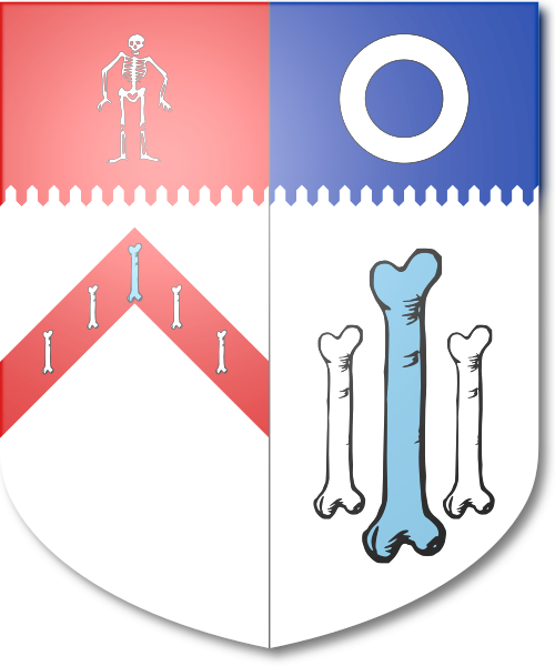 Shield image