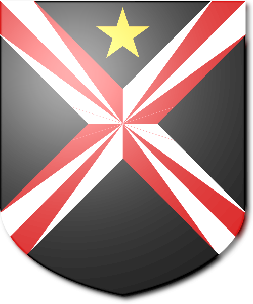 Shield image