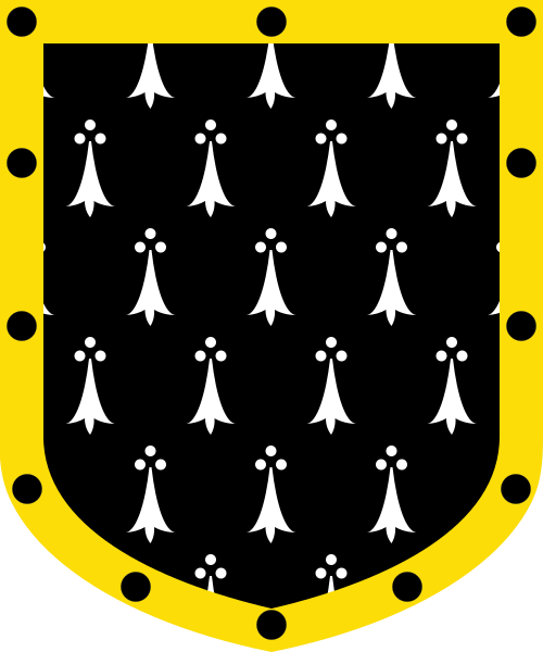 Shield image
