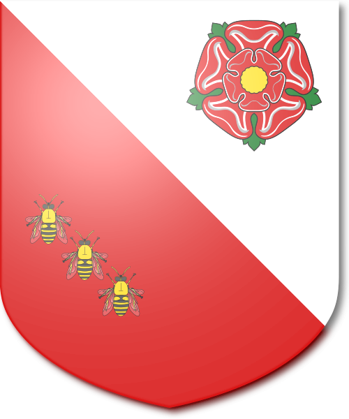 Shield image