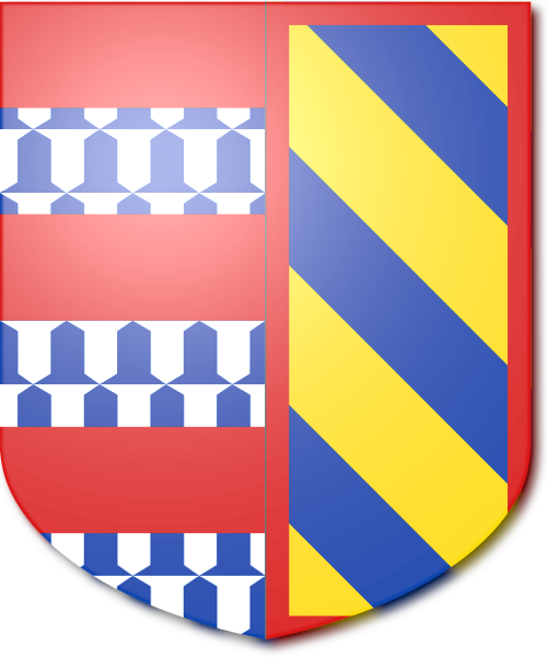 Shield image