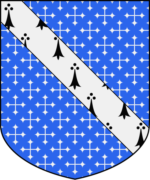 Shield image