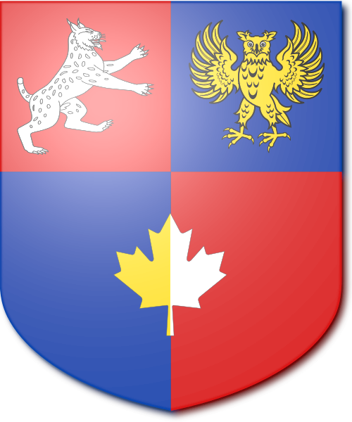 Shield image
