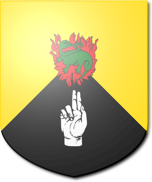 Shield image