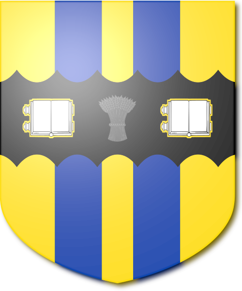 Shield image