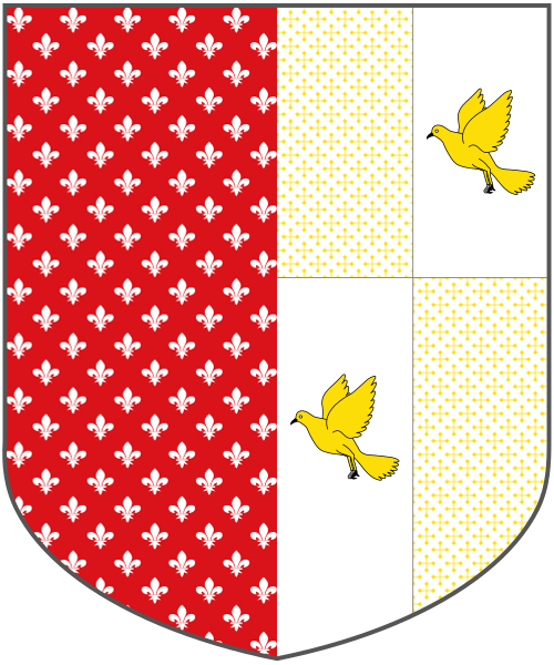 Shield image