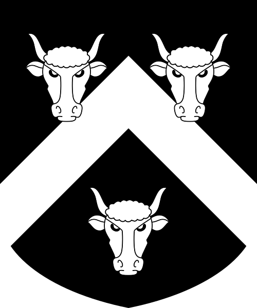 Shield image