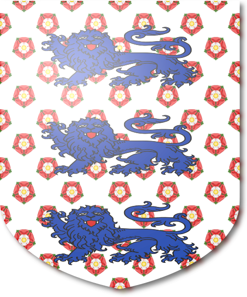 Shield image