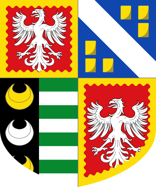Shield image