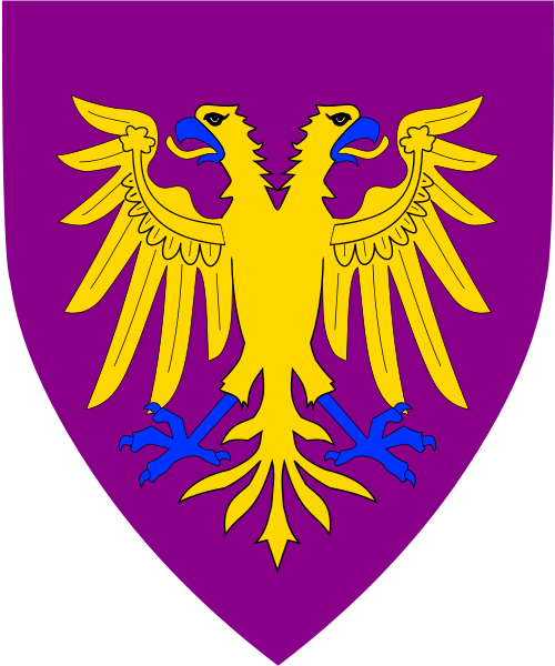 Shield image