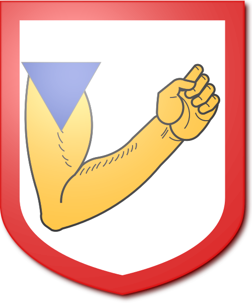 Shield image