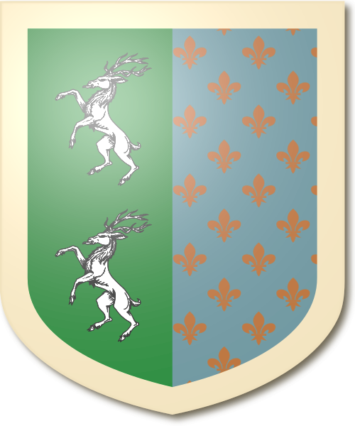Shield image
