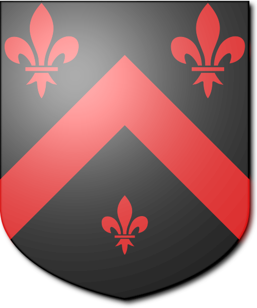 Shield image