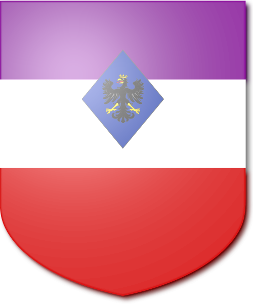Shield image