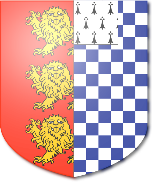 Shield image