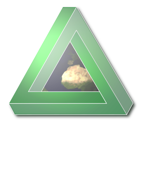 Shield image