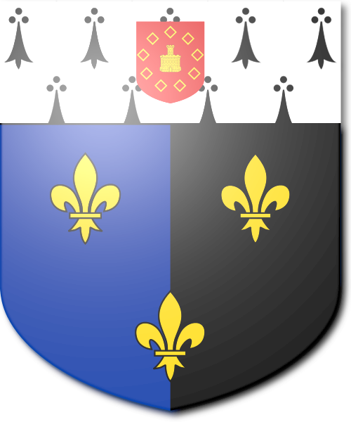 Shield image