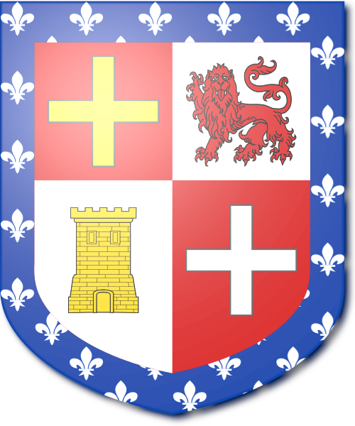 Shield image