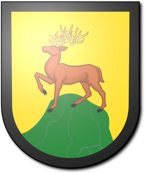 Shield image