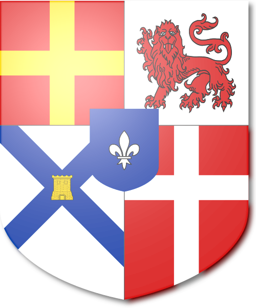 Shield image