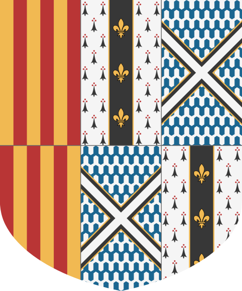 Shield image