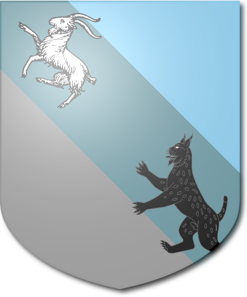 Shield image