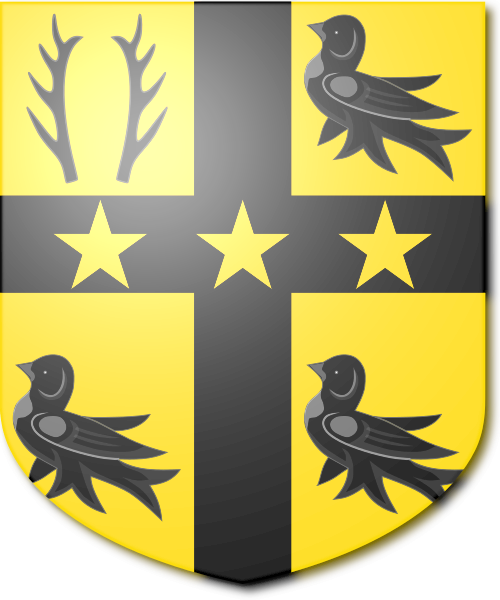 Shield image