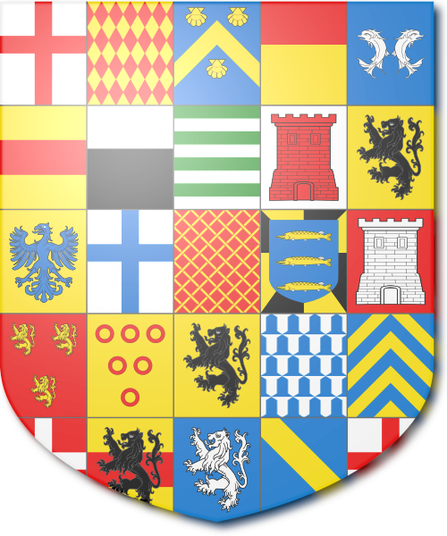 Shield image