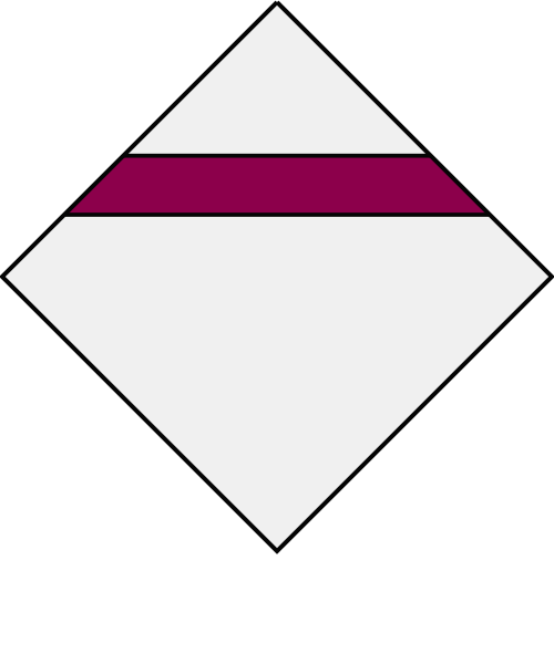 Shield image