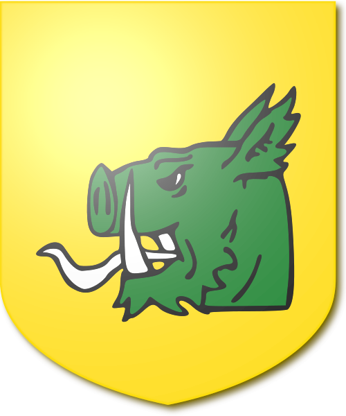 Shield image