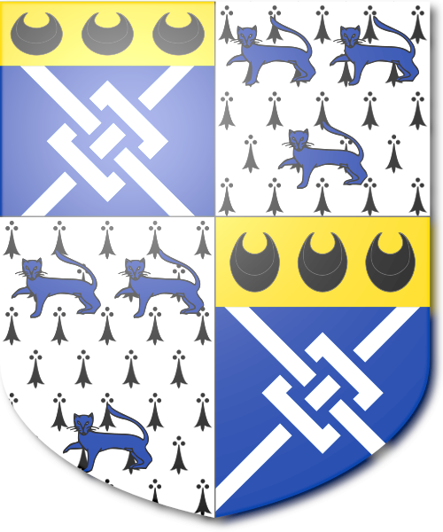 Shield image