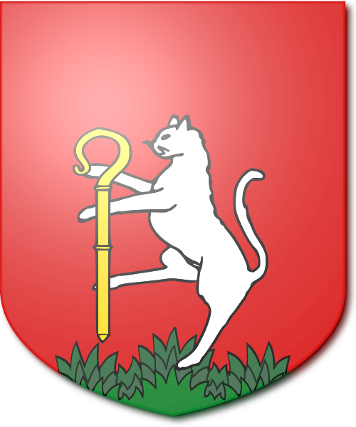 Shield image