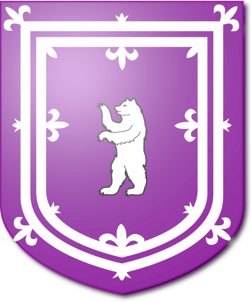 Shield image