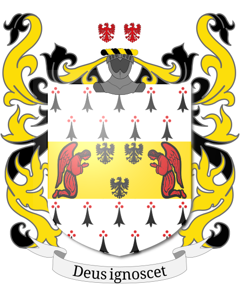 Shield image