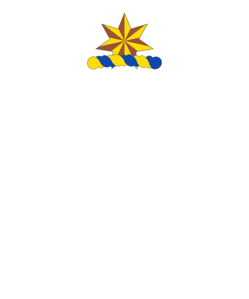 Shield image
