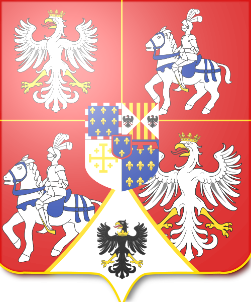 Shield image