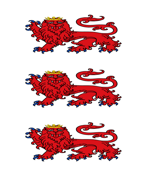 Shield image