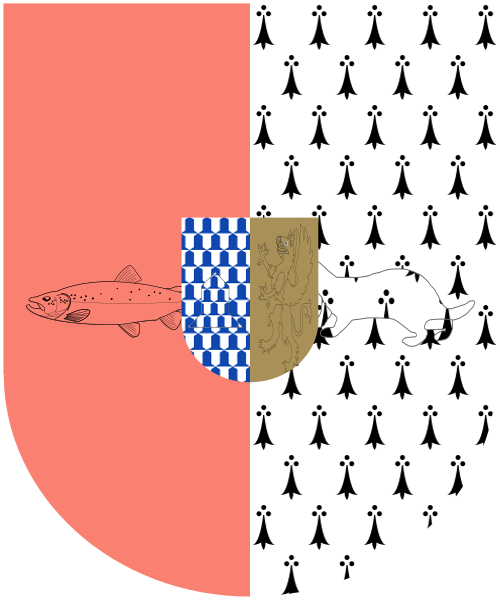 Shield image