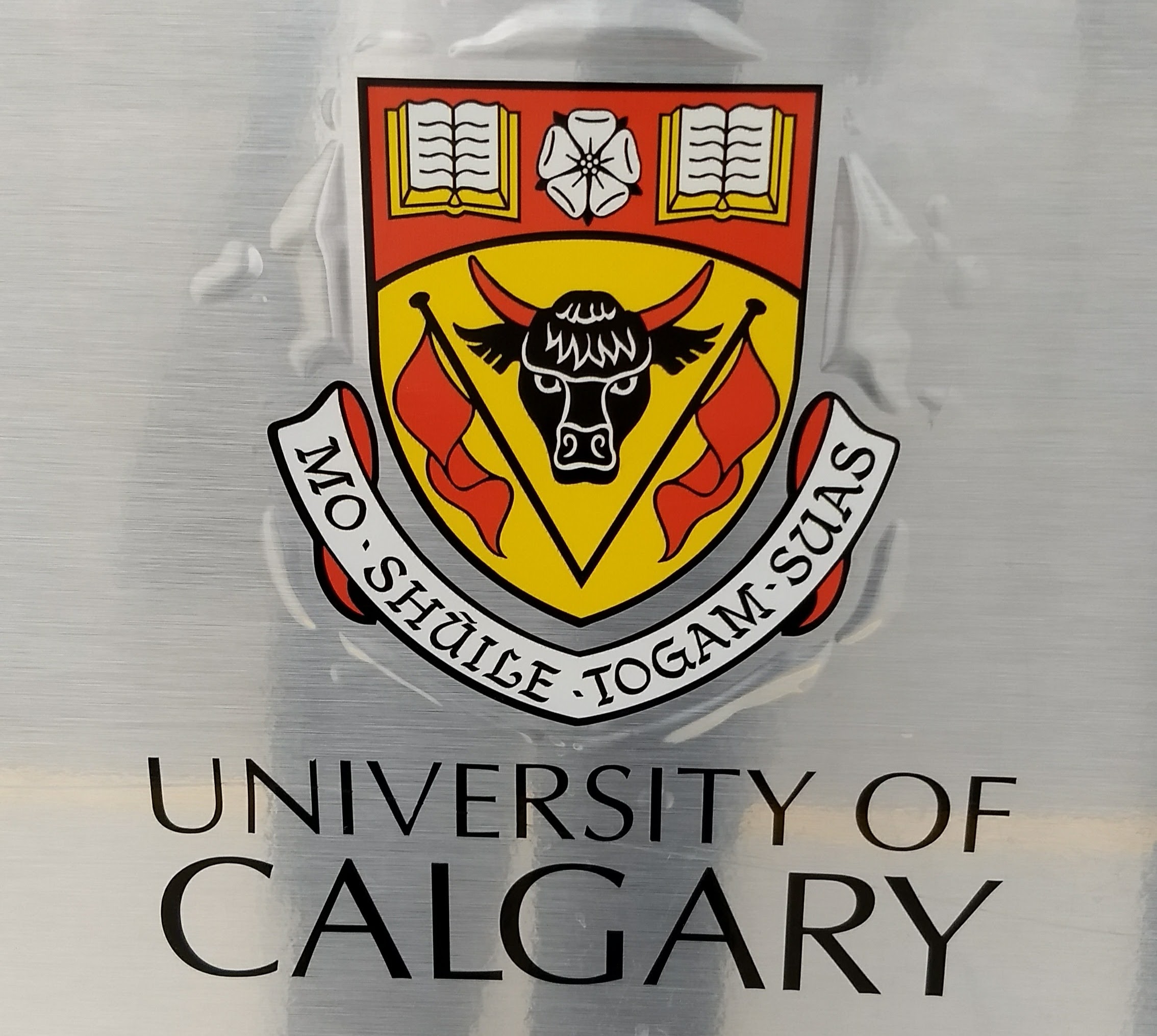 The arms of the University of Calgary, as were granted by Lyon